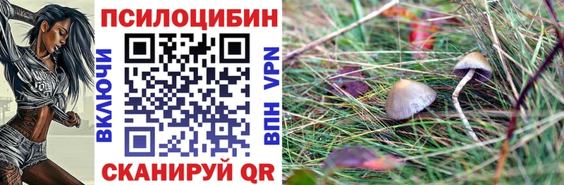 Псилоцибиновые грибы мухоморы  Назрань 
